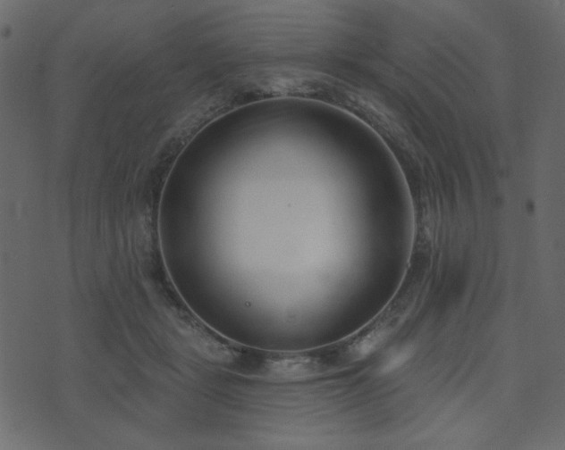 X0000074320461200608251305