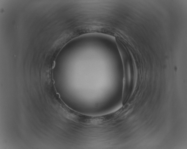 X0000074320462200608251305