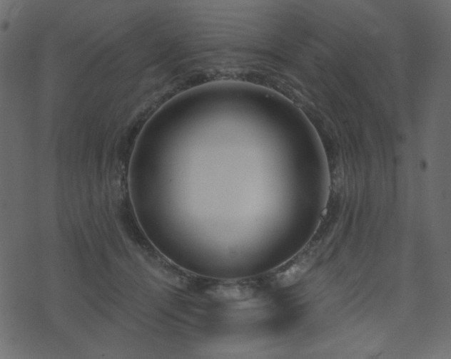 X0000074320464200608251305