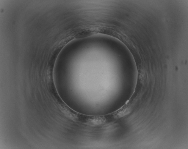X0000074320466200608251305