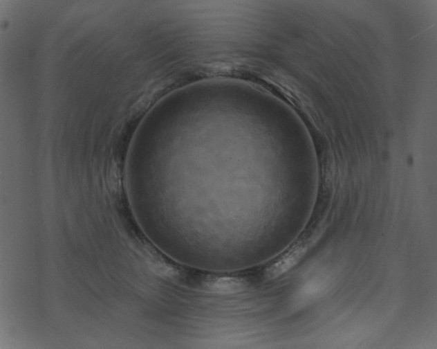 X0000074320467200608251305
