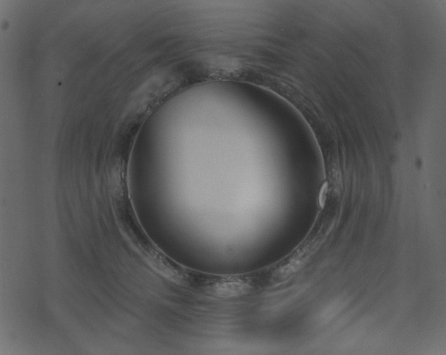 X0000074320468200608251305