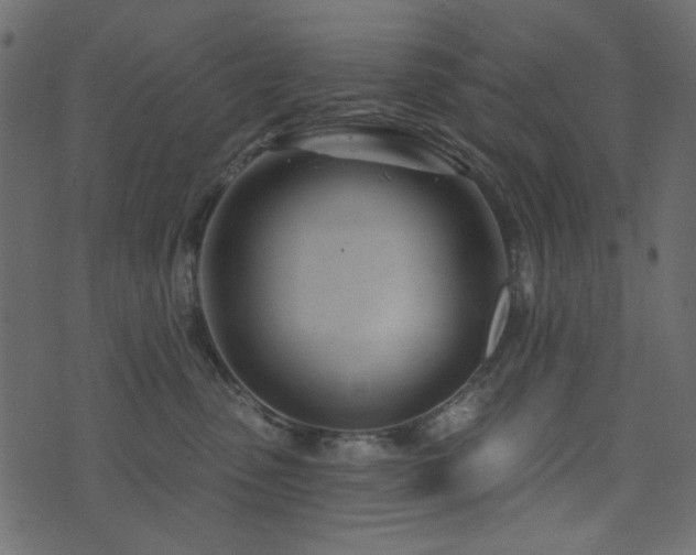 X0000074320475200608251305