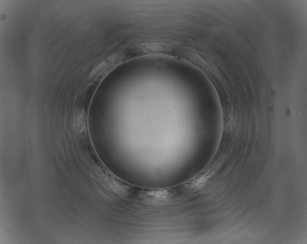 X0000074320478200608251305