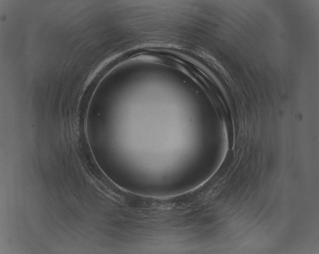X0000074320484200608251304