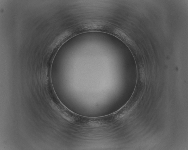 X0000074320490200608251304