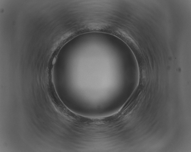 X0000074320492200608251304