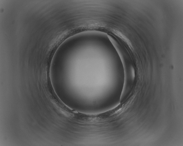 X0000074320493200608251304