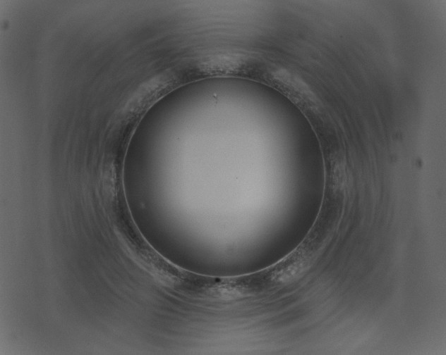X0000074320498200608251304