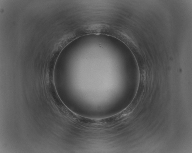 X0000074320504200608251304