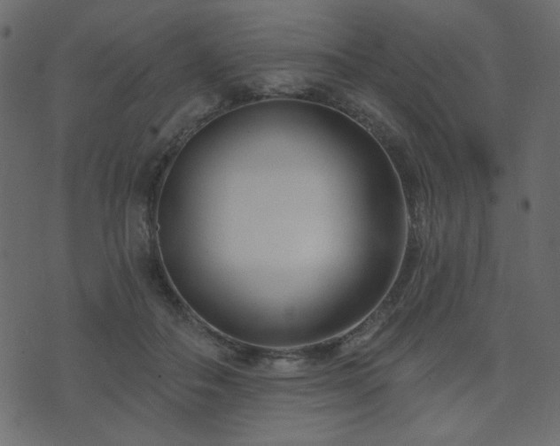 X0000074320506200608251304