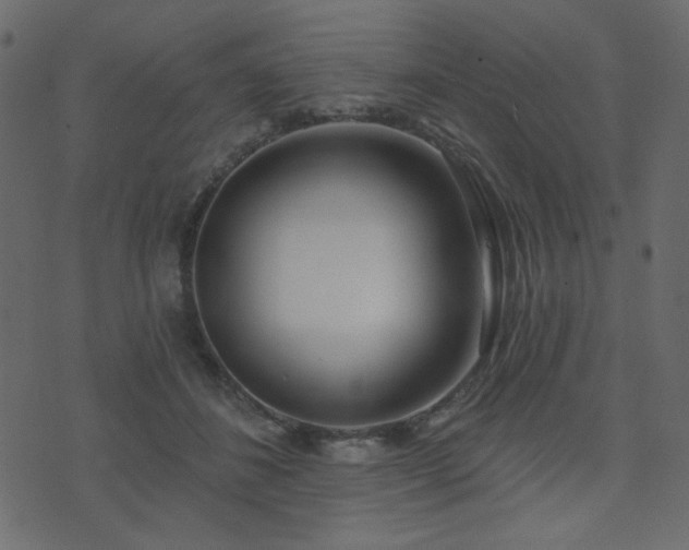 X0000074320508200608251304