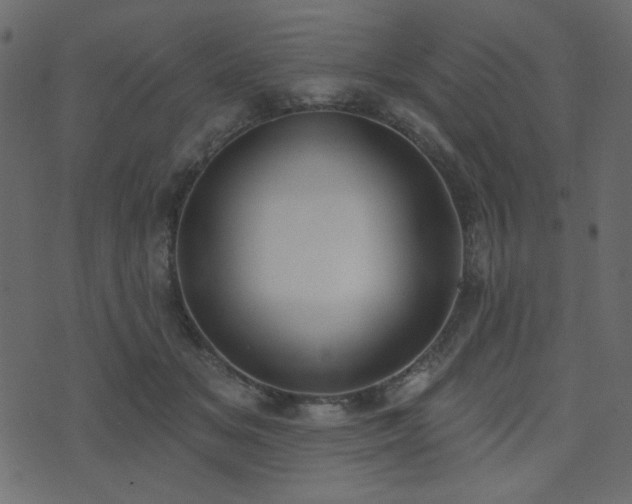 X0000074320509200608251304