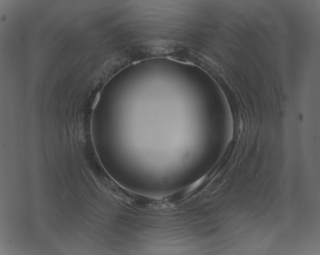 X0000074320512200608251304