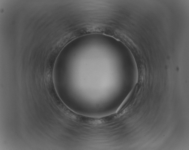 X0000074320513200608251304