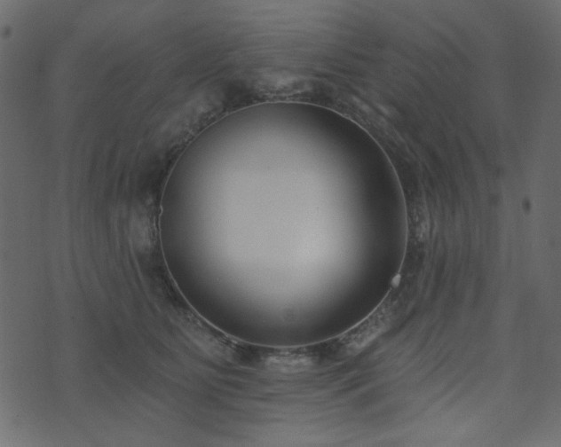 X0000074320515200608251304