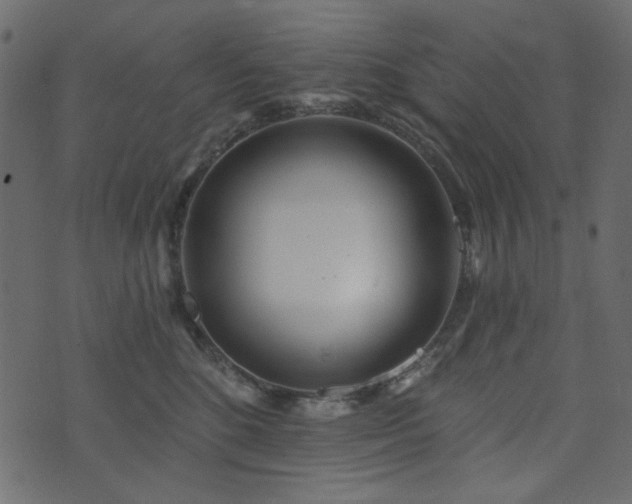 X0000074320520200608251304