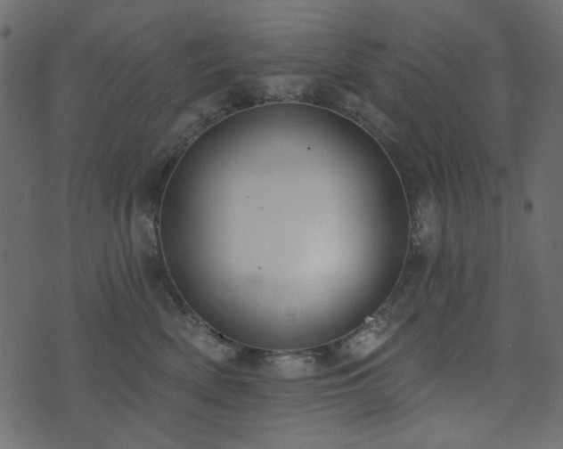X0000074320522200608251304