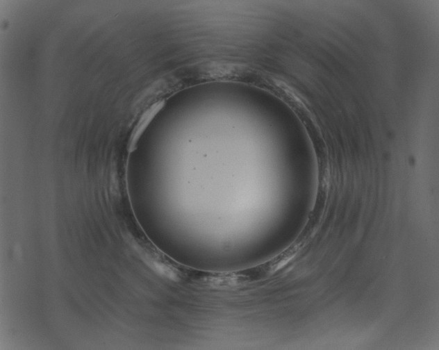 X0000074320524200608251304