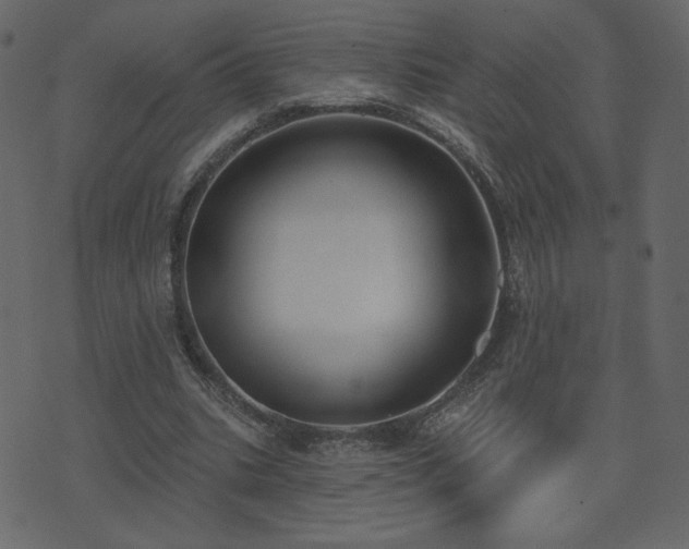 X0000074320535200608251303