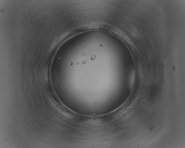 X0000074320537200608251303