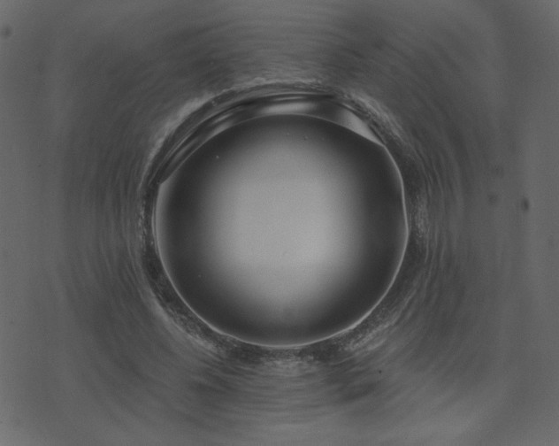 X0000074320540200608251303