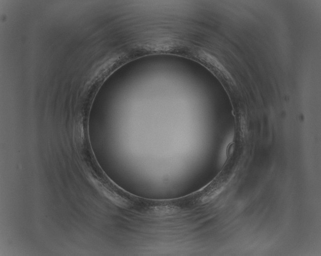 X0000074320541200608251303