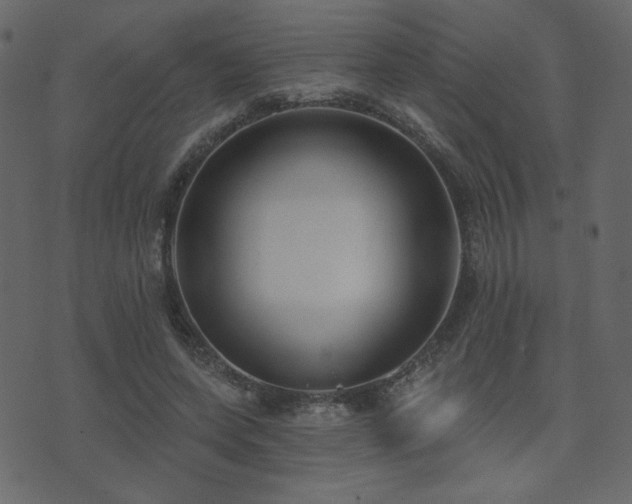 X0000074320543200608251303