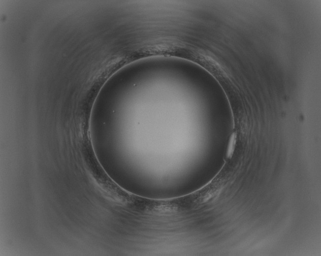 X0000074320546200608251303