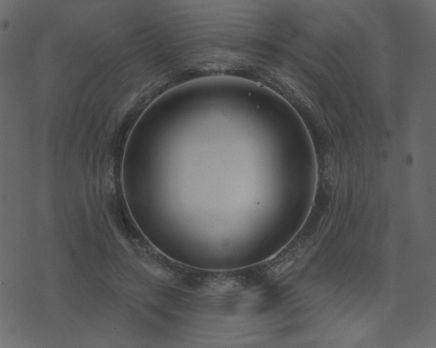 X0000074320547200608251303