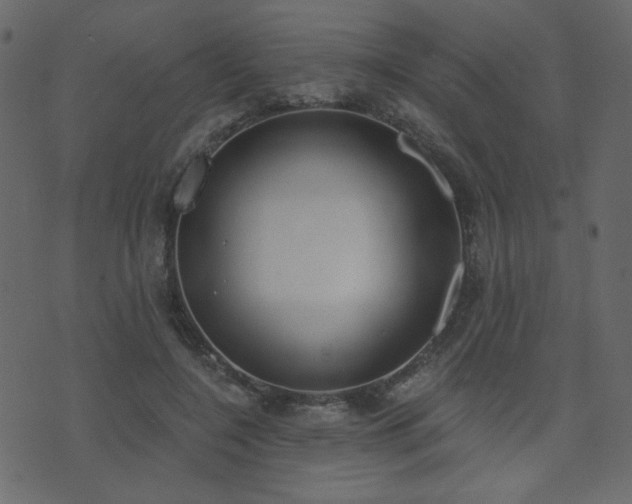 X0000074320548200608251303