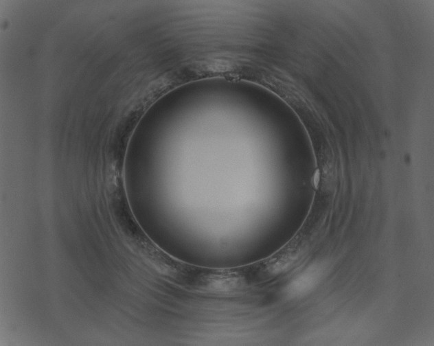 X0000074320555200608251303