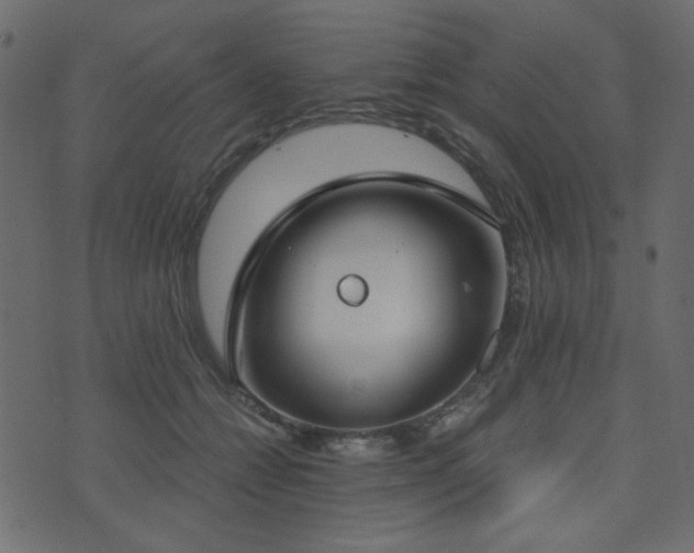 X0000074320558200608251303