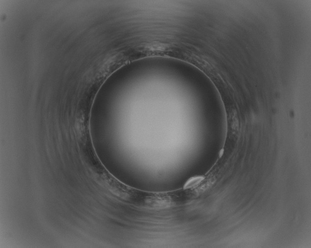 X0000074320559200608251303