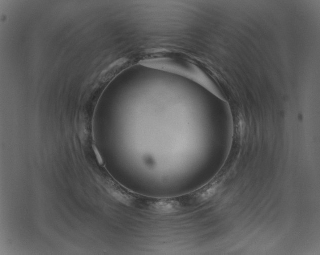 X0000074320566200608251303