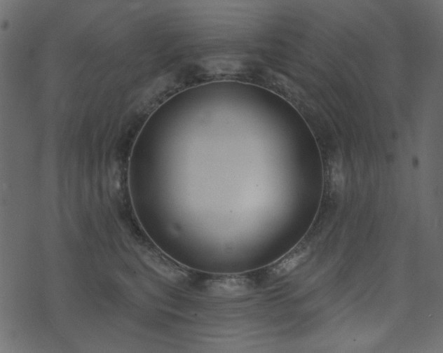 X0000074320567200608251304