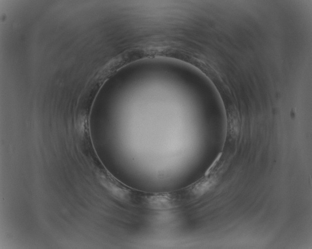X0000074320574200608251304