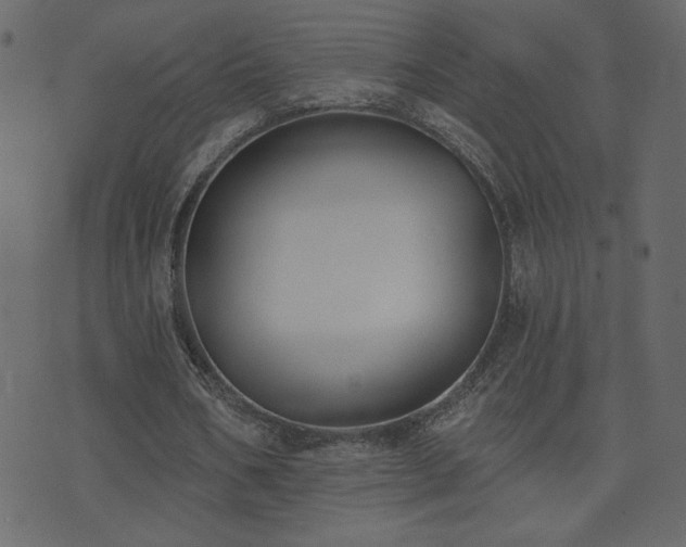 X0000074320578200608251303
