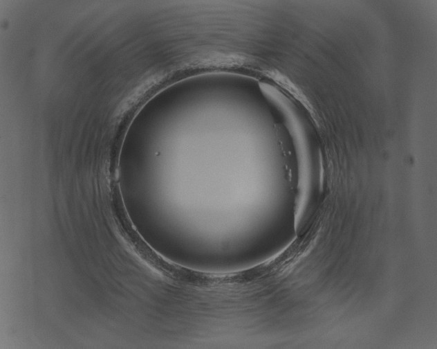 X0000074320581200608251303
