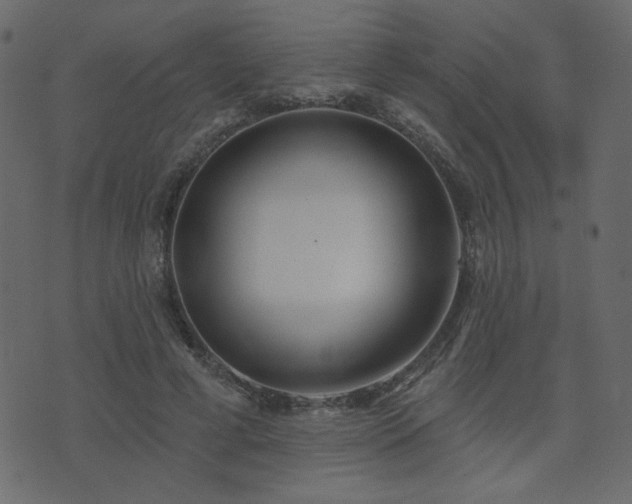 X0000074320593200608251303