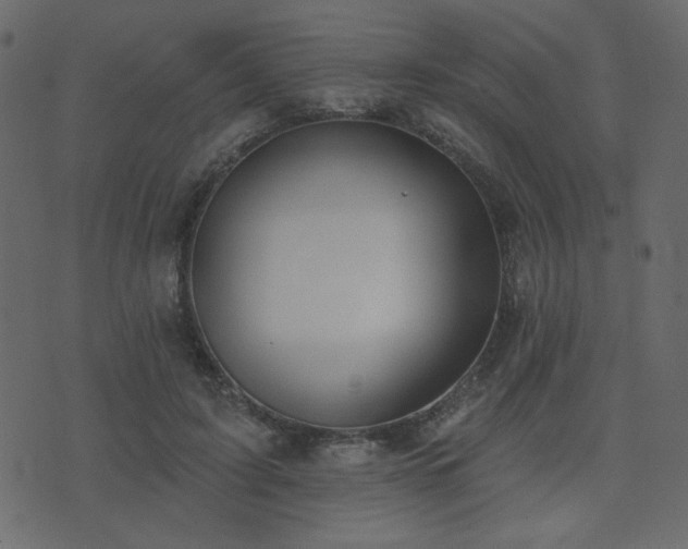X0000074320595200608251303