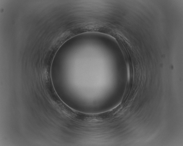 X0000074320597200608251303
