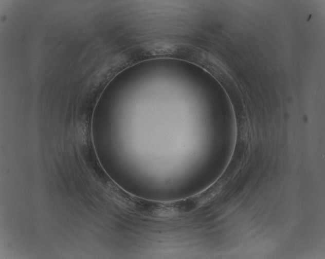 X0000074320604200608251302