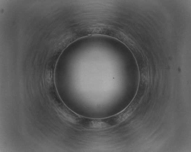 X0000074320605200608251302