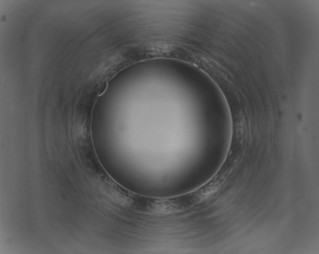 X0000074320608200608251302