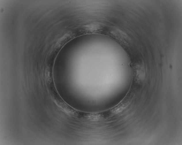 X0000074320615200608251302