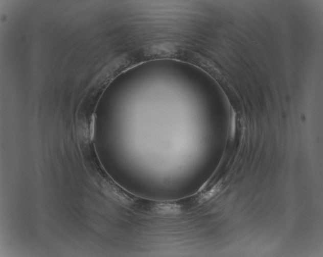 X0000074320617200608251302