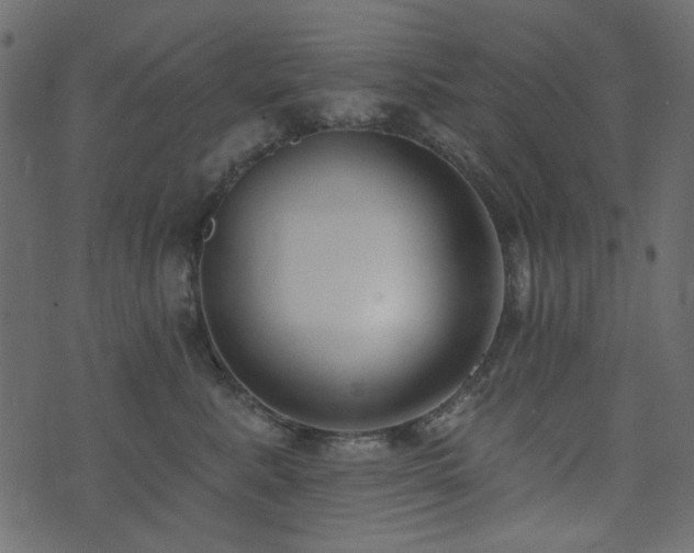 X0000074320619200608251302