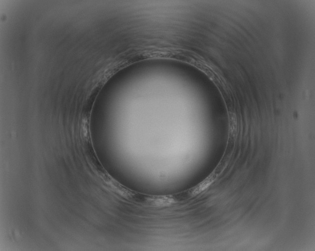 X0000074320621200608251302
