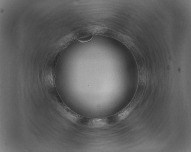X0000074320622200608251302
